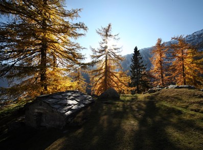 Issime - Vallone di San Grato