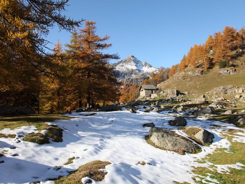 The first snow