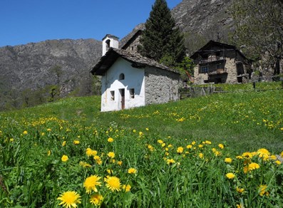 Varfey