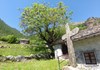 croce in pietra - frassino monumentale - villaggio