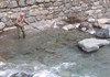 Pesca sportiva a Champorcher