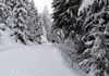Pista di fondo Alta Valle del Gran San Bernardo