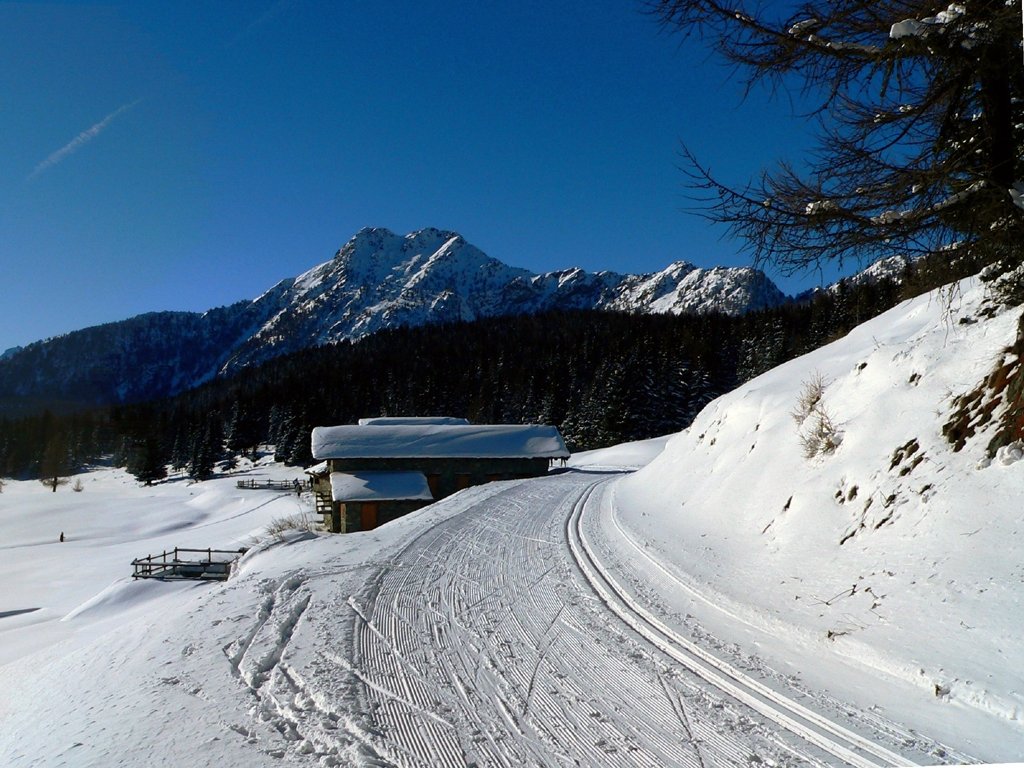 Piste di fondo Torgnon