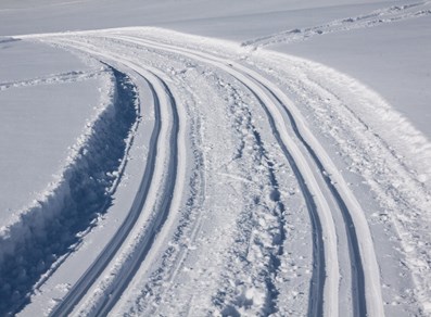Cross-country runs in Gressoney-La-Trinité