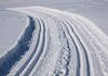 Cross-country runs in Gressoney-La-Trinité