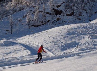 Cross-country runs in Gressoney-La-Trinité