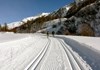 Val Ferret Cross-country skiing