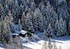Cogne