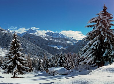 Bois du Joux - Brusson