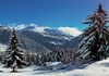 Bois du Joux - Brusson