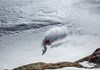 Heliski Valgrisenche
