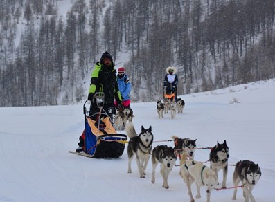 The Husky Experience Breuil Cervinia