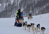 The Husky Experience Breuil Cervinia