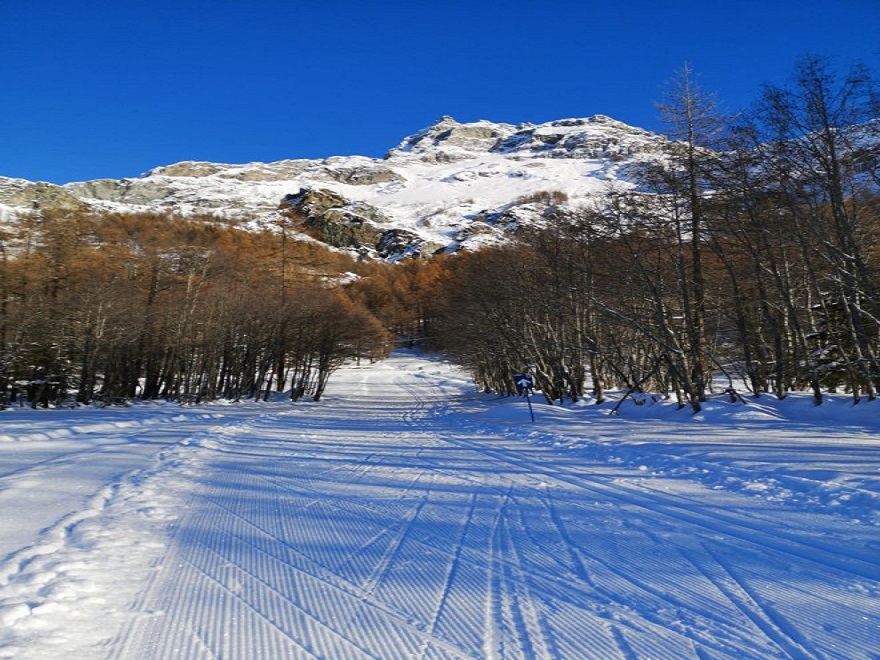 Pista di fondo
