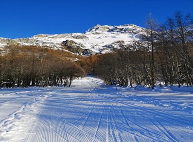 Pista di fondo