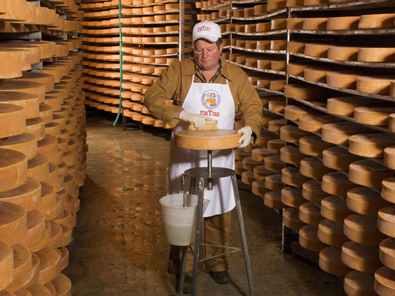 Trabajando en el almacén de curado de la Fontina