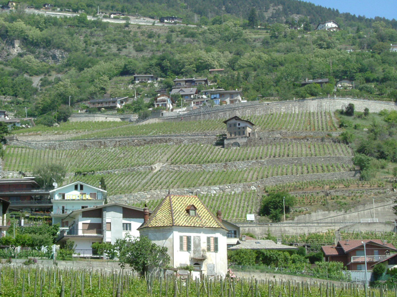Institut Agricole Régional - Aosta