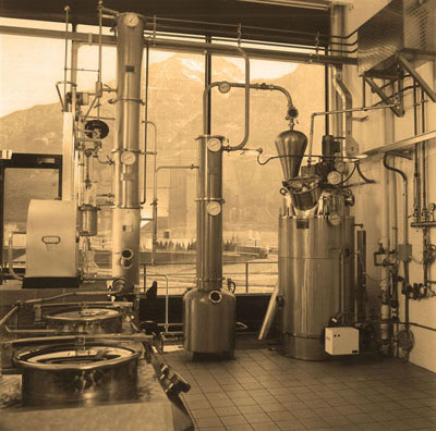 Distillerie Saint-Roch - Levi - Ottoz