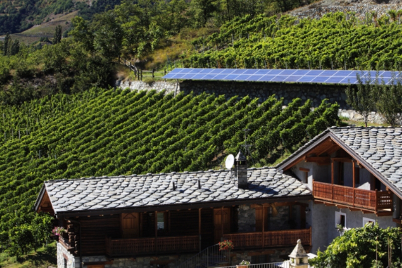 L'entreprise et les vignobles