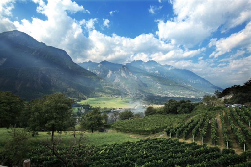 Vue panoramique