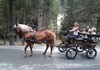 A.S.D. Cheval d'Aoste