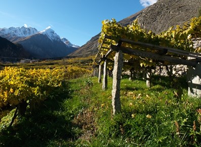 La cantina