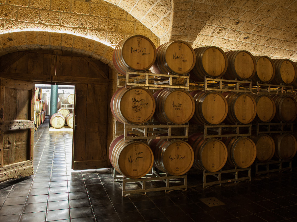 Le botti in legno