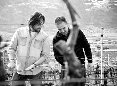 Working in the vineyards