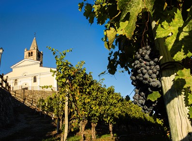 View over the church from the vineyards