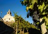 View over the church from the vineyards