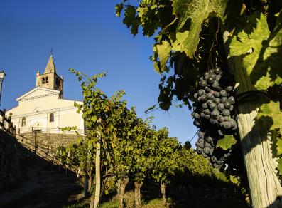 View over the church from the vineyards