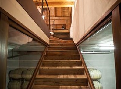 The wine cellar