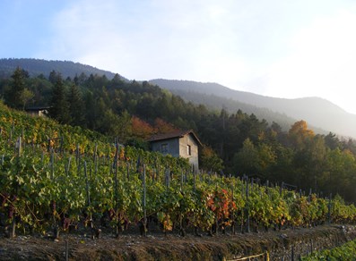 See im Naturschutzgebiet