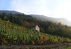 See im Naturschutzgebiet