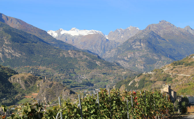 Los viñedos, el castillo de Saint-Pierre y el glaciar de Rutor
