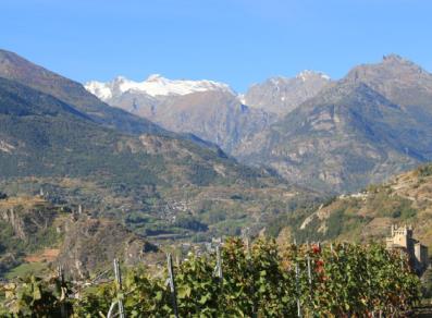 The vineyards, the castle of Saint-Pierre and the Rutor glacier