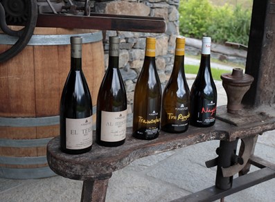 The wines produced by the winery