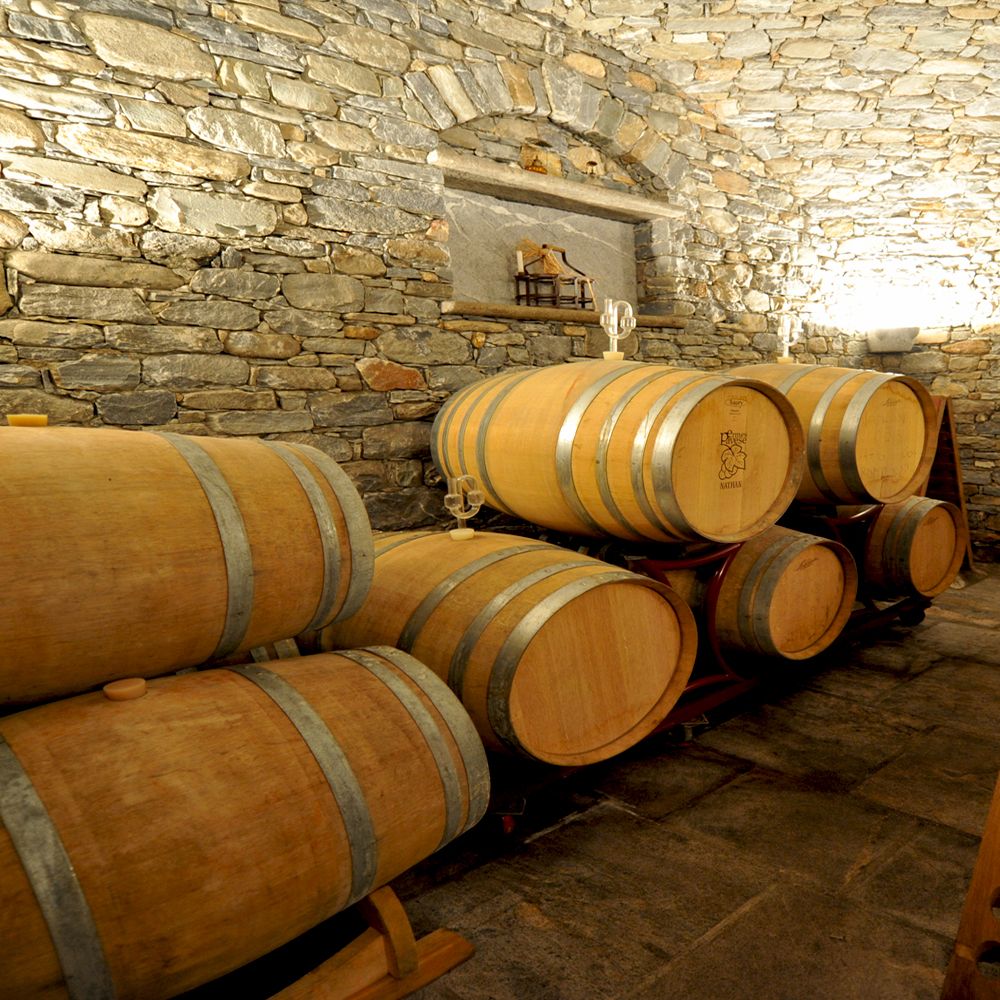 Le botti in legno