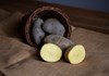 Patate di montagna