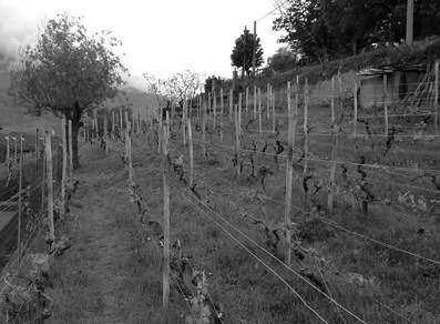 Appartamenti