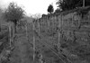 Appartamenti