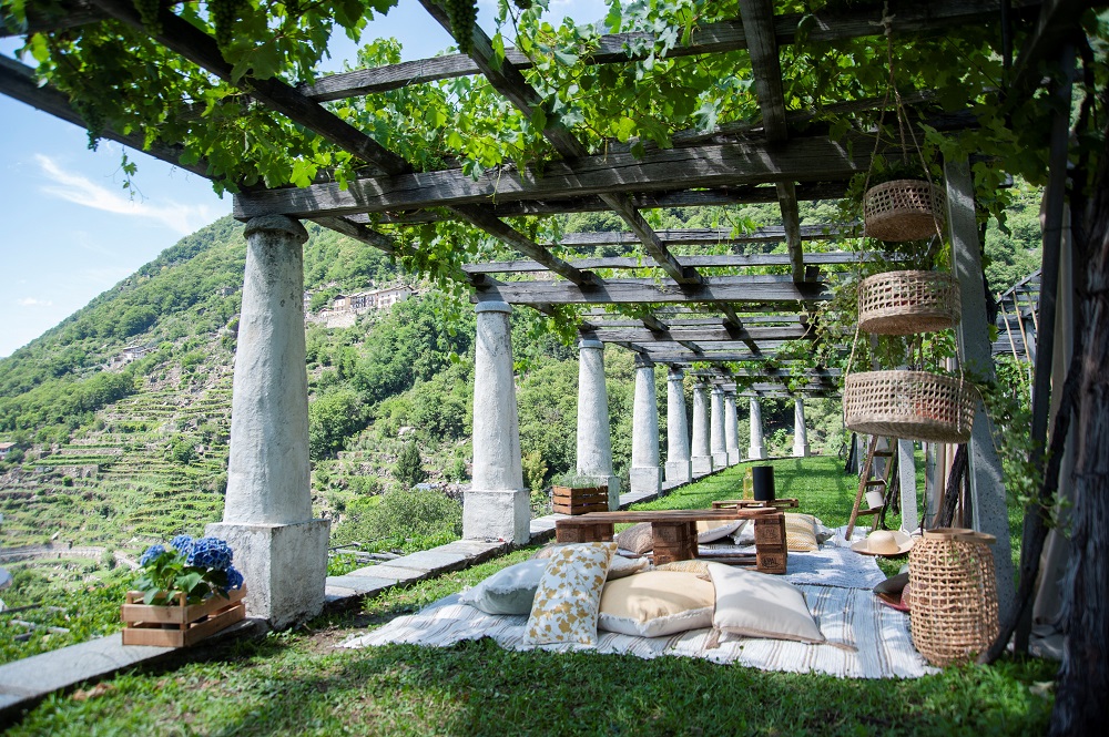 Aperitif im Weinberg