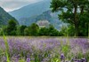 La cave des onze communes