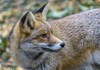 Parc Animalier