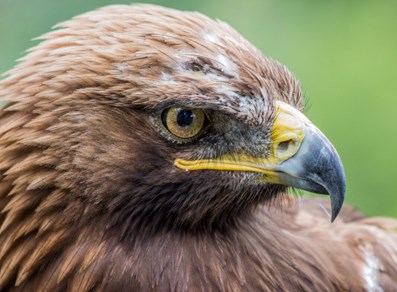 Parc Animalier