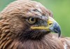 Parc Animalier