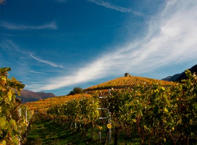 Vigneti Les Cretes