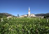 Chiesa e vigneti Introd