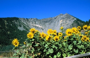 Frana della Becca France