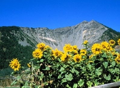 Frana della Becca France